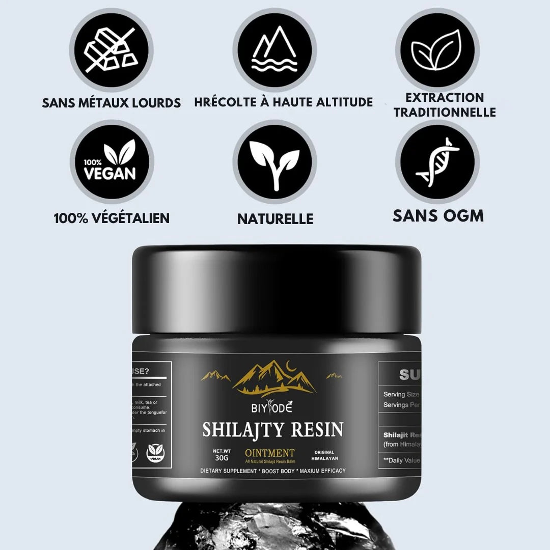 Shilajit Complément alimentaire La source de votre vitalité  🎁