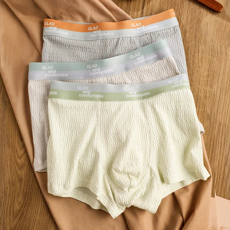 Le SET 4 Culotte Boxers en coton à bulles pour Hommes